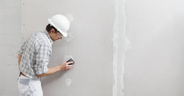 Environmental Consulting for Mold Prevention in Duquesne, PA