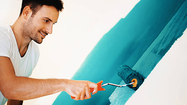 Best Attic Mold Removal  in Duquesne, PA