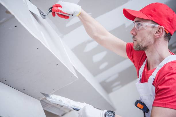 Best Mold Odor Removal Services  in Duquesne, PA